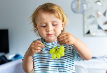 למה כדאי לתת לילדים לאכול ענבים