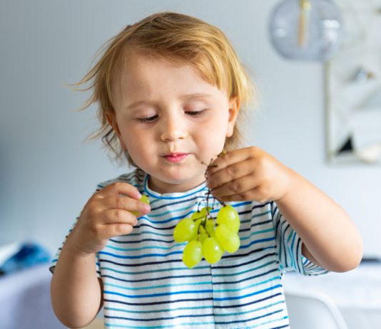 למה כדאי לתת לילדים לאכול ענבים למה כדאי לתת לילדים לאכול ענבים